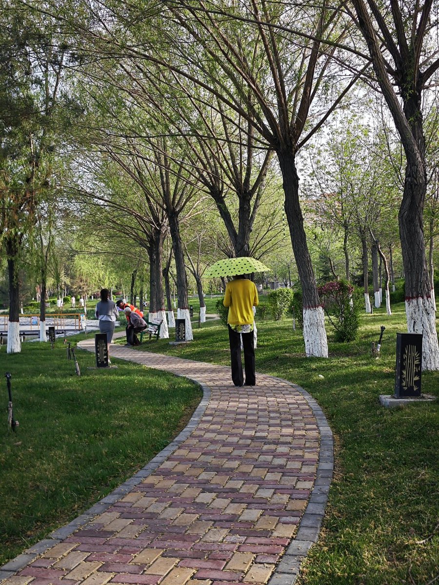 Osman06191907's tweet image. "Photography 101: Start with light!  A soft, diffused source (like shade on sunny days) makes portraits glow—no harsh shadows. Point your phone/camera at your subject, tap to focus, and shoot. Simple, right  #PhotographyTips #BeginnerFriendly"