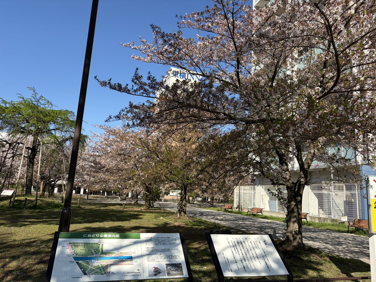 teamクマタカchannel tweet media