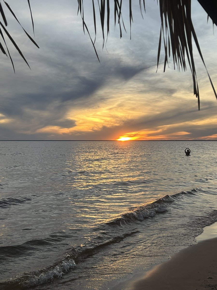 manu soogyu tweet media