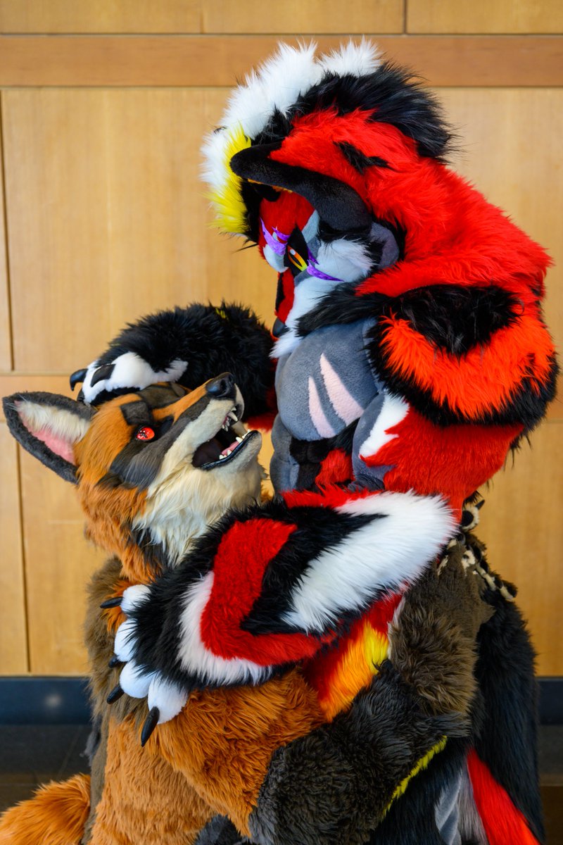 그레이엄 현 tweet media