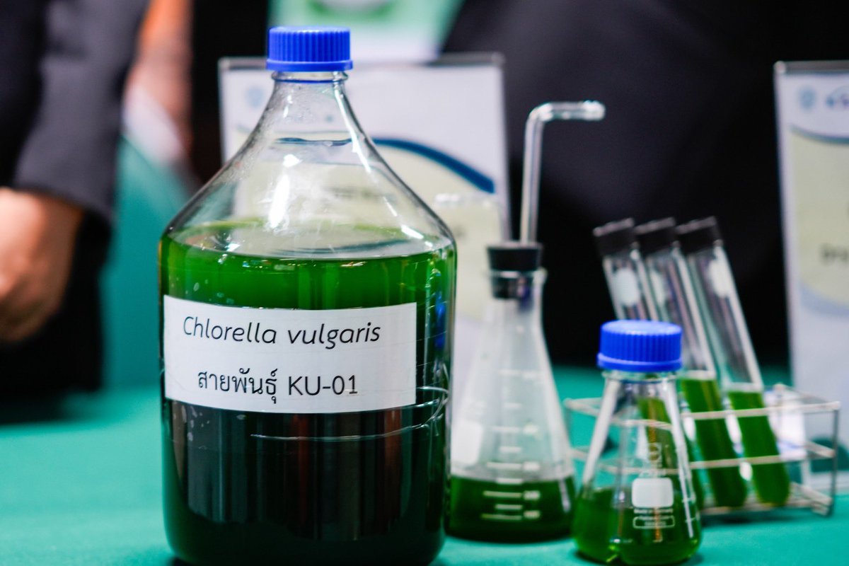 Yodchanan Wongsawat tweet media