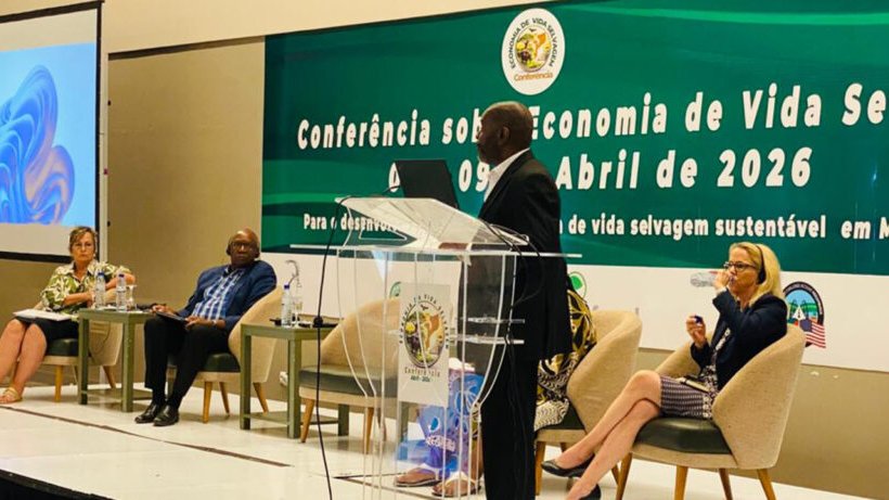 opaisonline's tweet image. Sociedade
Governo desafia sector de safaris a atrair jovens e impulsionar economia da vida selvagem
#vidaselvagem #mocambique #ambiente #opaisonline #opais #gruposoico    
opais.co.mz/governo-desafi…