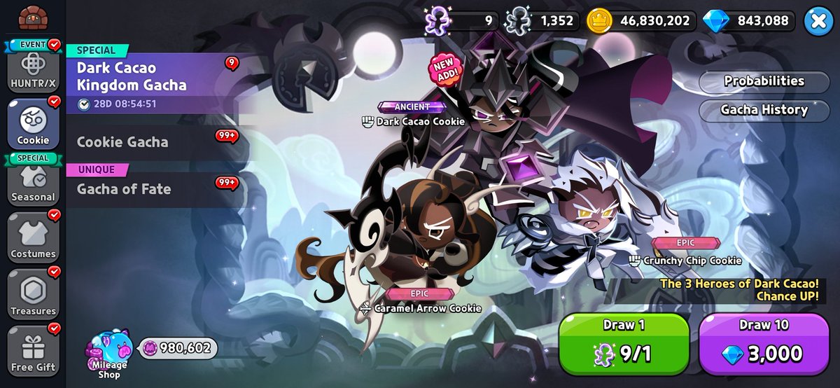 Timely Dark Cacao Kingdom tweet media