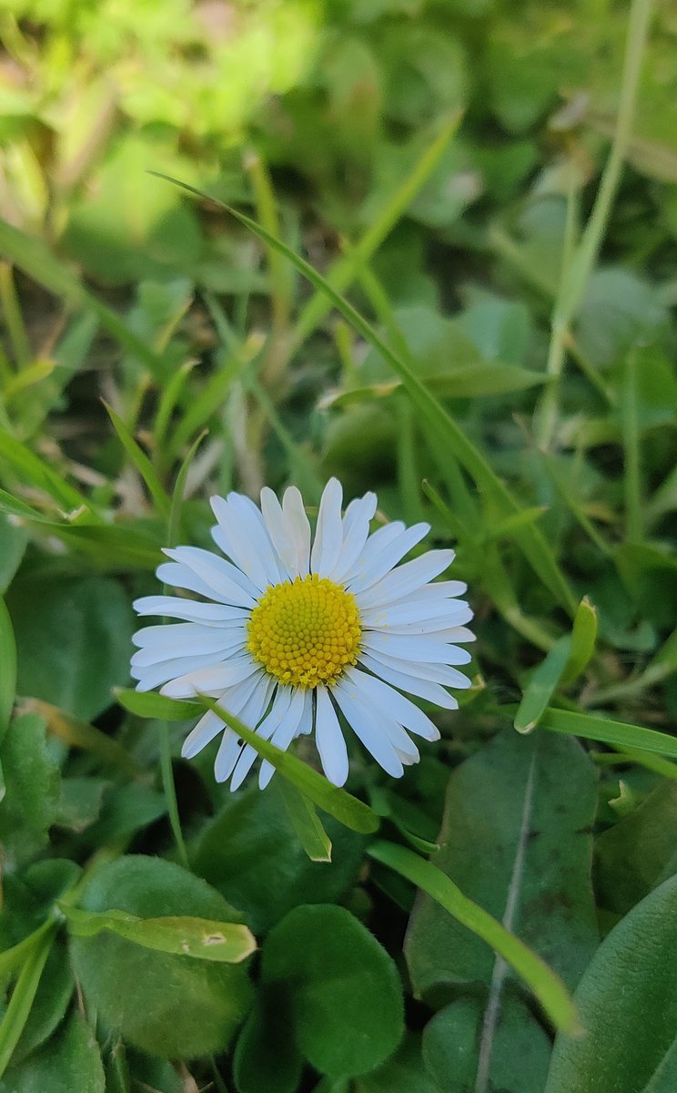 𝑯𝒂𝒓𝒔𝒉𝒖...🍷 tweet media