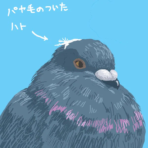 パヤ毛