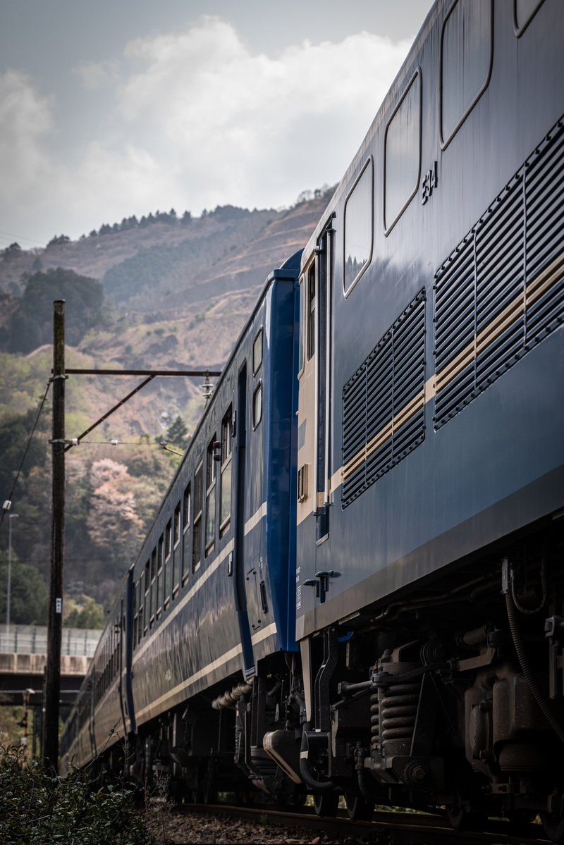 えぬじぃーてぃー tweet media