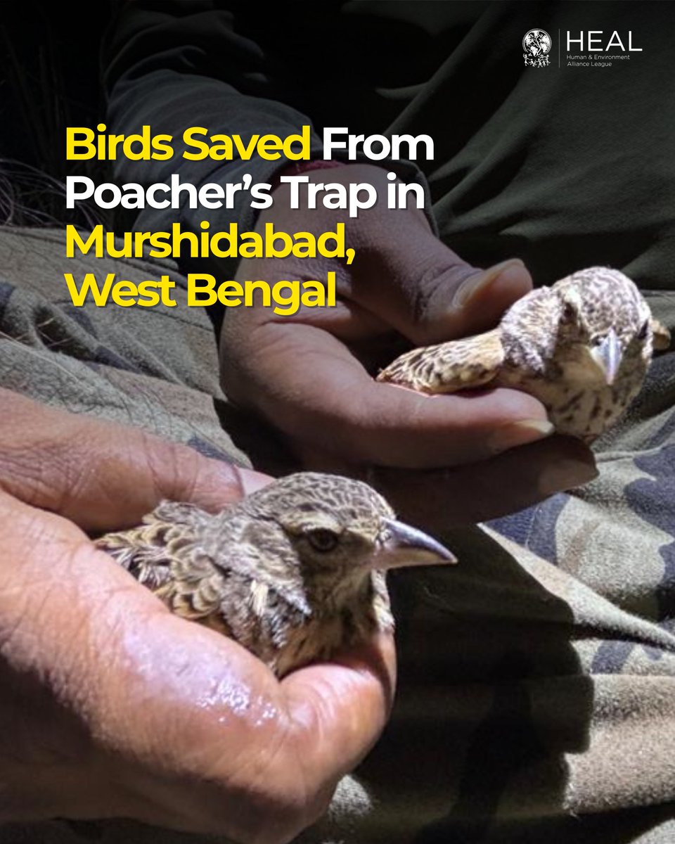 Human & Environment Alliance League tweet media