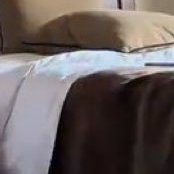 𓍯 riza 🐾✨ CFC Era ✨🐱 𓍯 tweet media