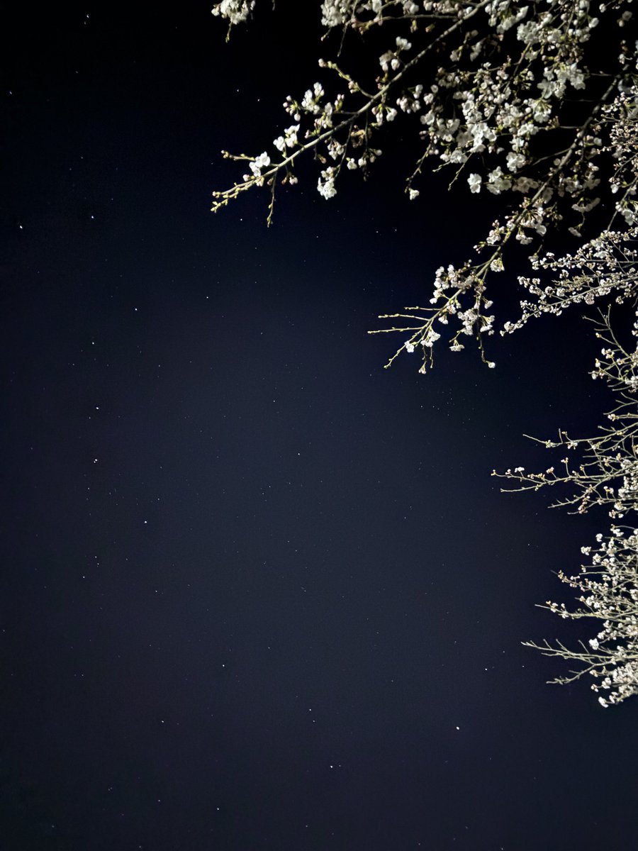 えりまっき tweet media