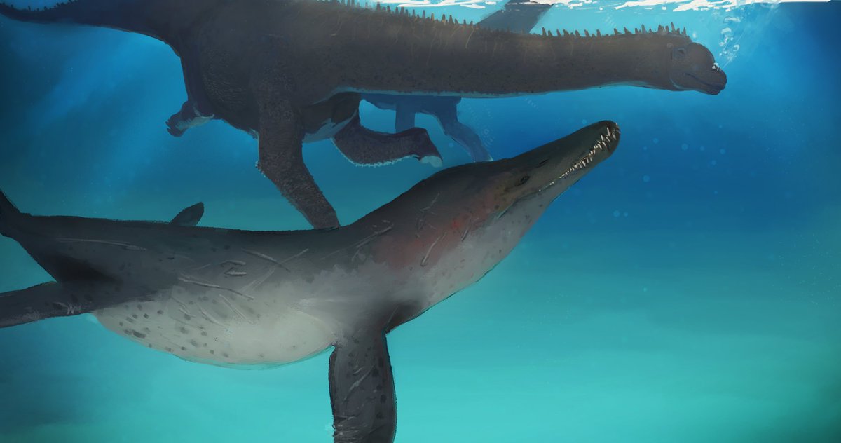 PliosaurDork tweet media