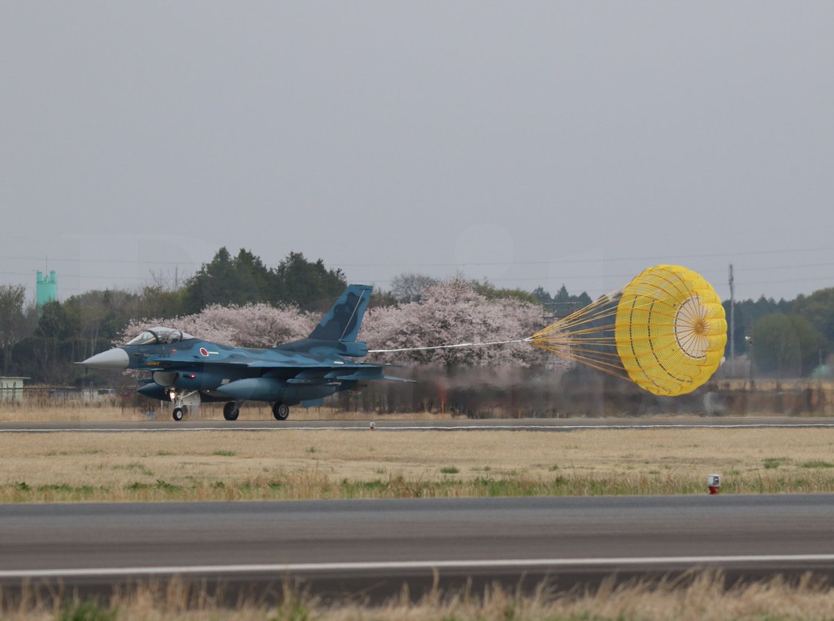 Fhiro2aka's tweet photo. 久々の　#百里基地
#F2　はかっこいい！
バーナーも凄かった😄久々にあんな離陸を見た！聴いた！
桜とみることが出来ただけでありがたい😄
桜ももう終わりですね😅 https://t.co/phhG5hre14
