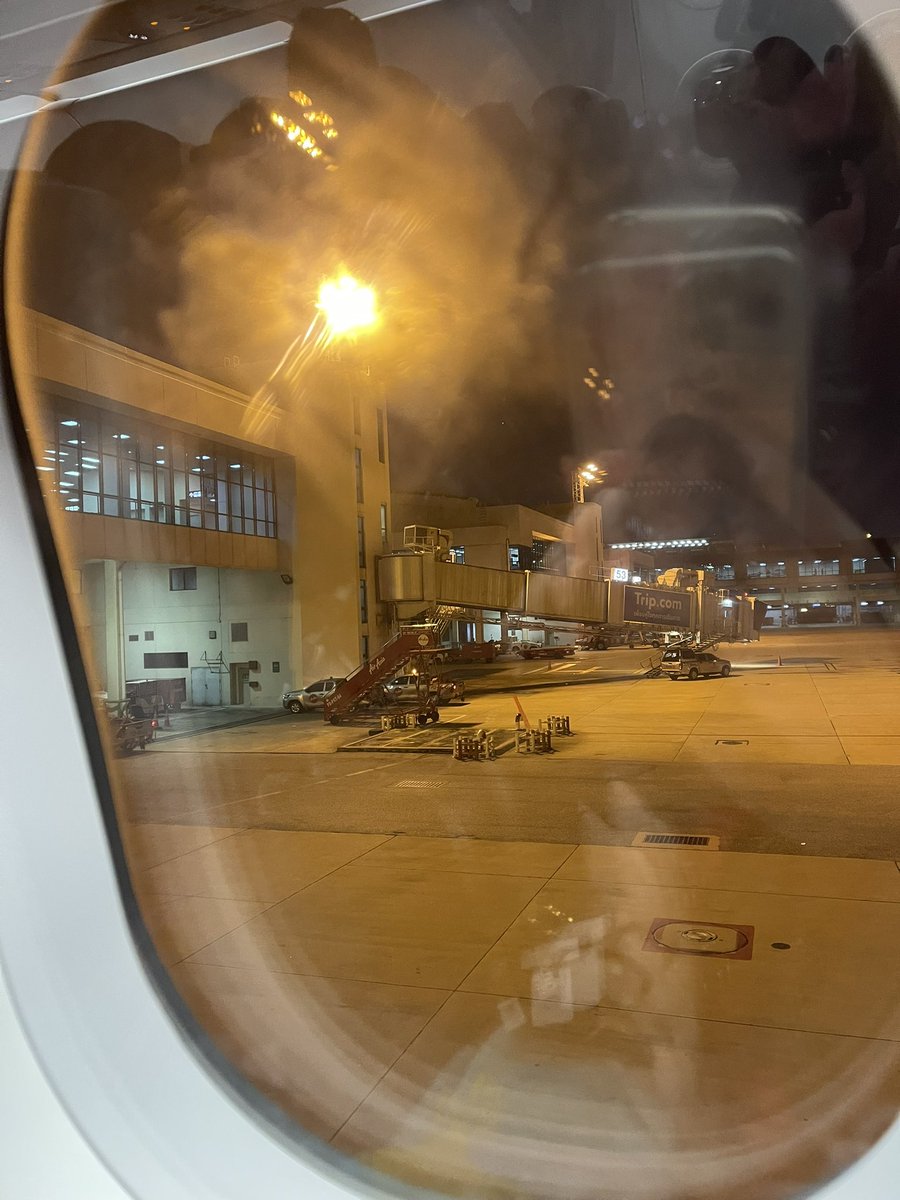 i ⋆˚ ☘︎˖⋆ tweet media