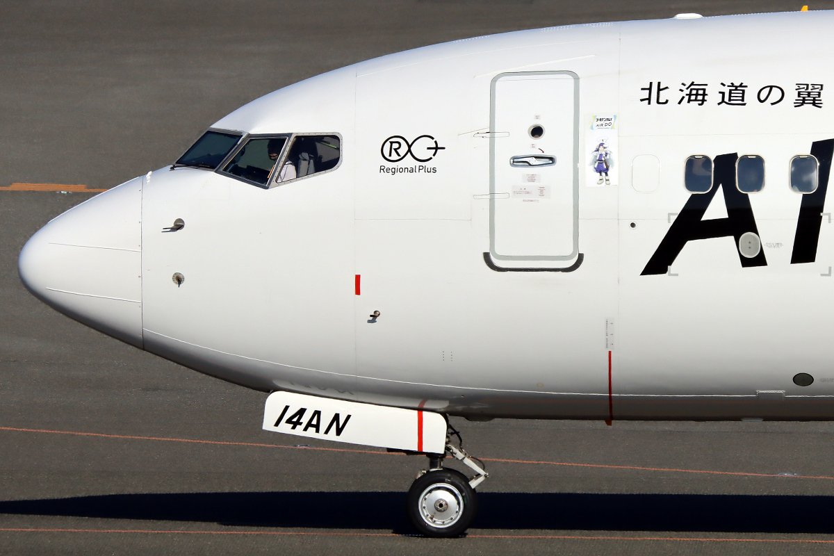 なごやん tweet media