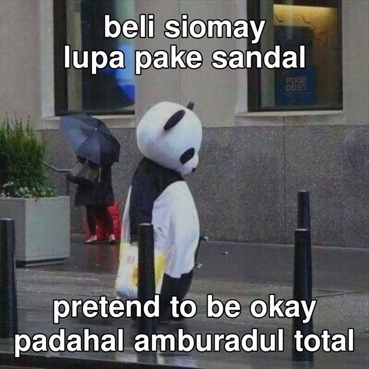 ୧⍤⃝🐻 tweet media