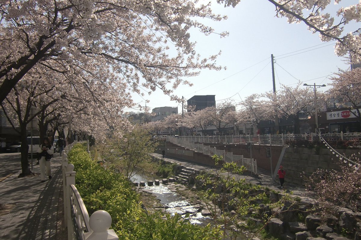 봄이 좋다 🏃‍♀️🏃‍♀️💕🌸