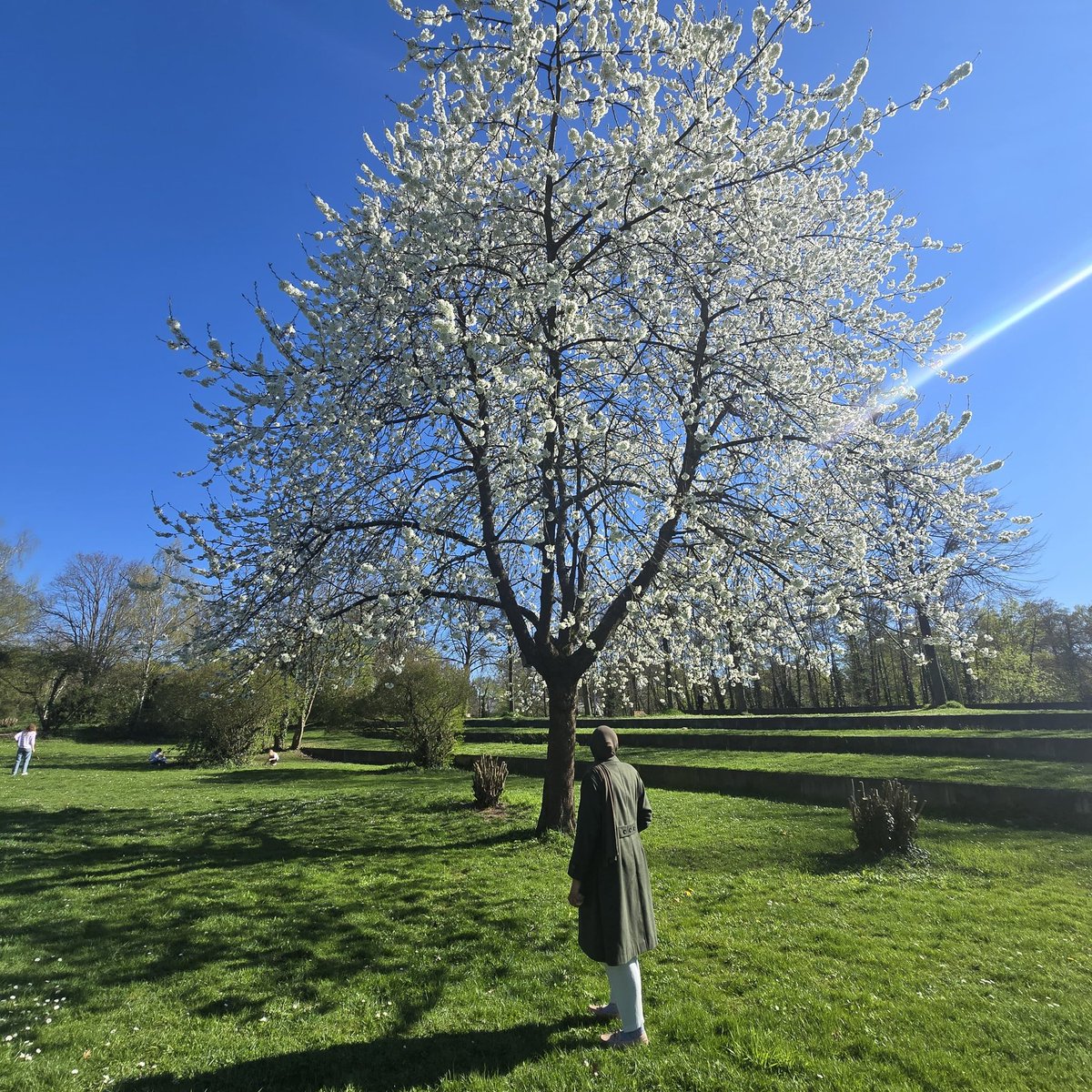 14:14 The Lord will fight for you 
You only need to be still.