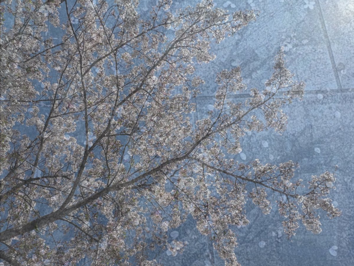 己枉 存🤏🏻 tweet media