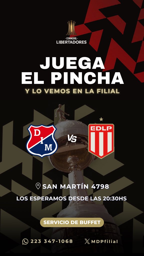 MDPFilial's tweet photo. Hoy los esperamos para alentar al león en su debut en la Libertadores🇦🇹🏆 https://t.co/9O6XmEM8HR