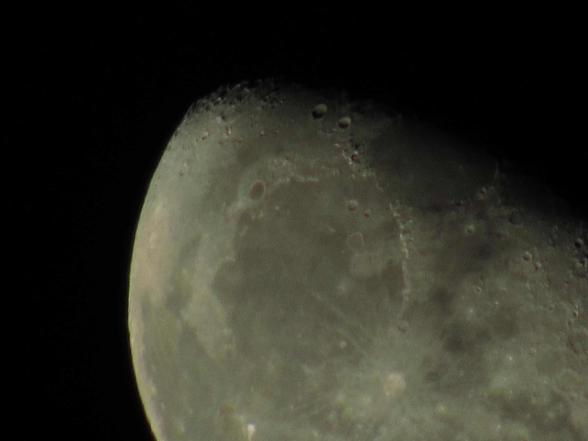 So he took these ❤️