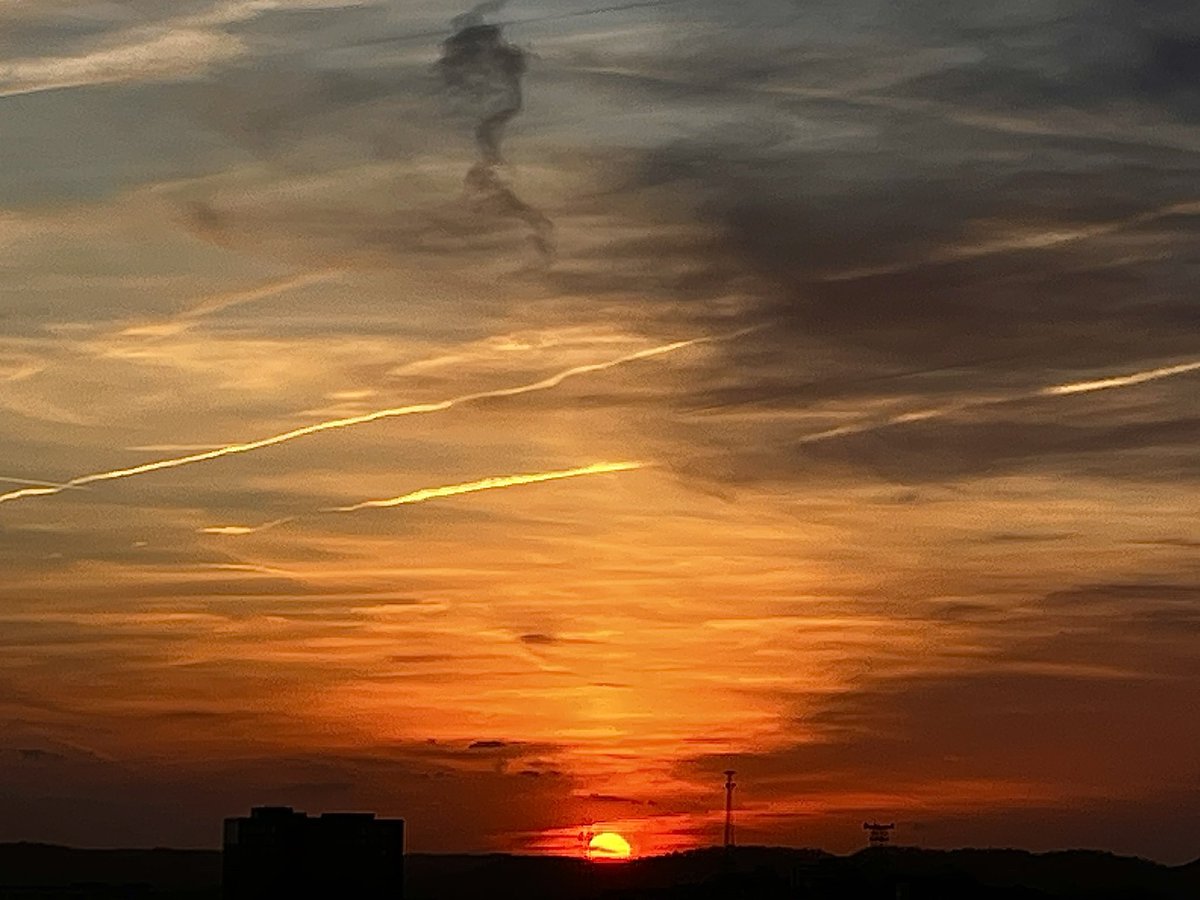 Carol M. Swain, PhD tweet media