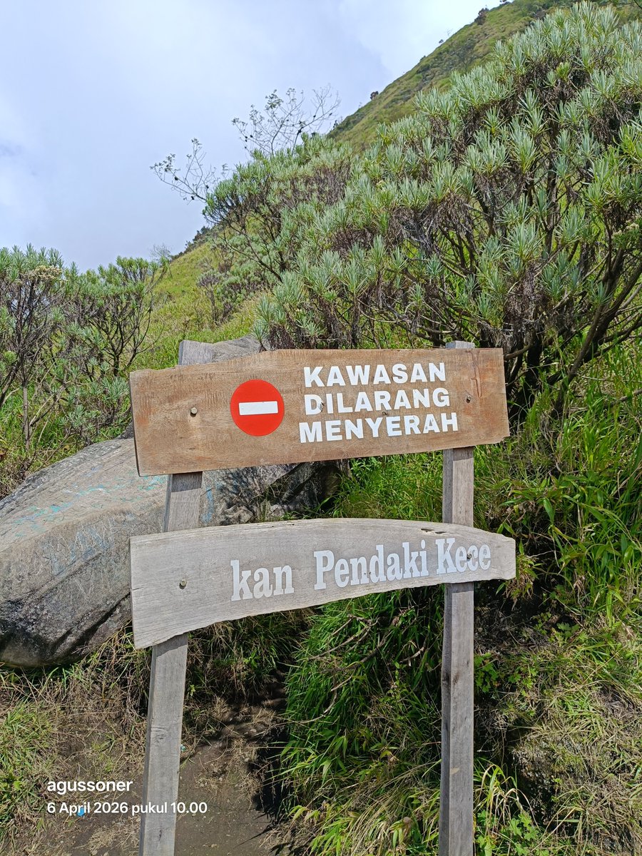 agusoner92's tweet photo. Merbabu via Selo Gancik https://t.co/XyidNCAuVF