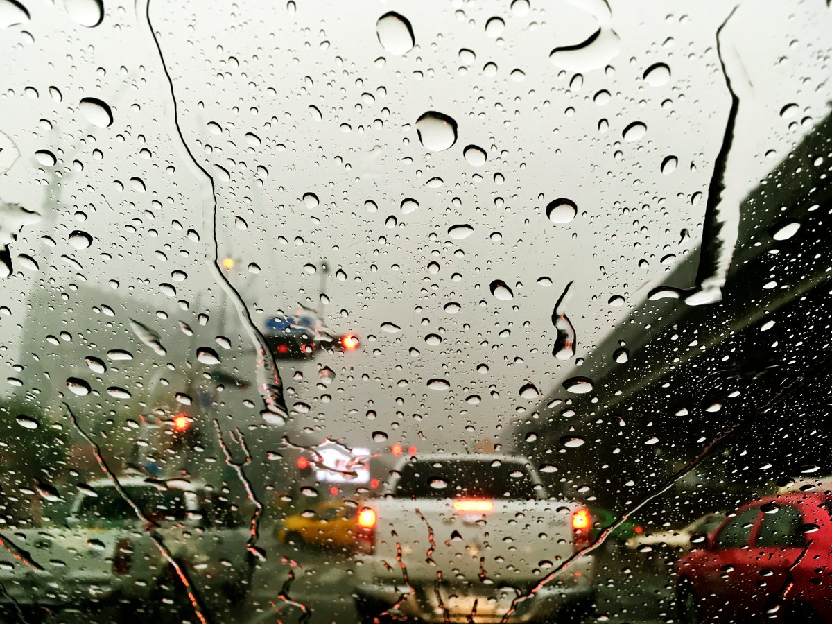 Telenoticiasrd's tweet photo. #ElTiempoTN I  ¡Alerta nacional! Vaguada mantiene lluvias intensas en varias provincias

Puedes ampliar estas y otras informaciones, entrando directamente en el link. https://t.co/QGbva4Elwo
#Telesistema11 #Telenoticia https://t.co/MRDlhtdwqx