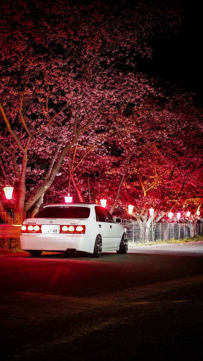 今年も無事に桜と一緒に写真撮れた！