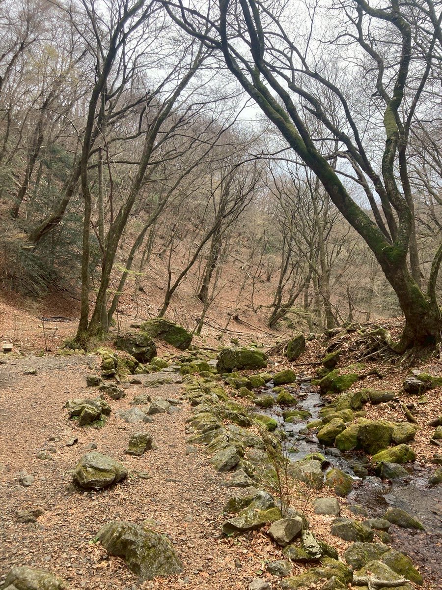 anpancooo's tweet photo. 御岳山⛰️

幼稚園行くんだよね。もうお姉さんなんだよね。かっこいいんだよね。とがんばって歩いていた👏🏻 https://t.co/62pCriVCxb