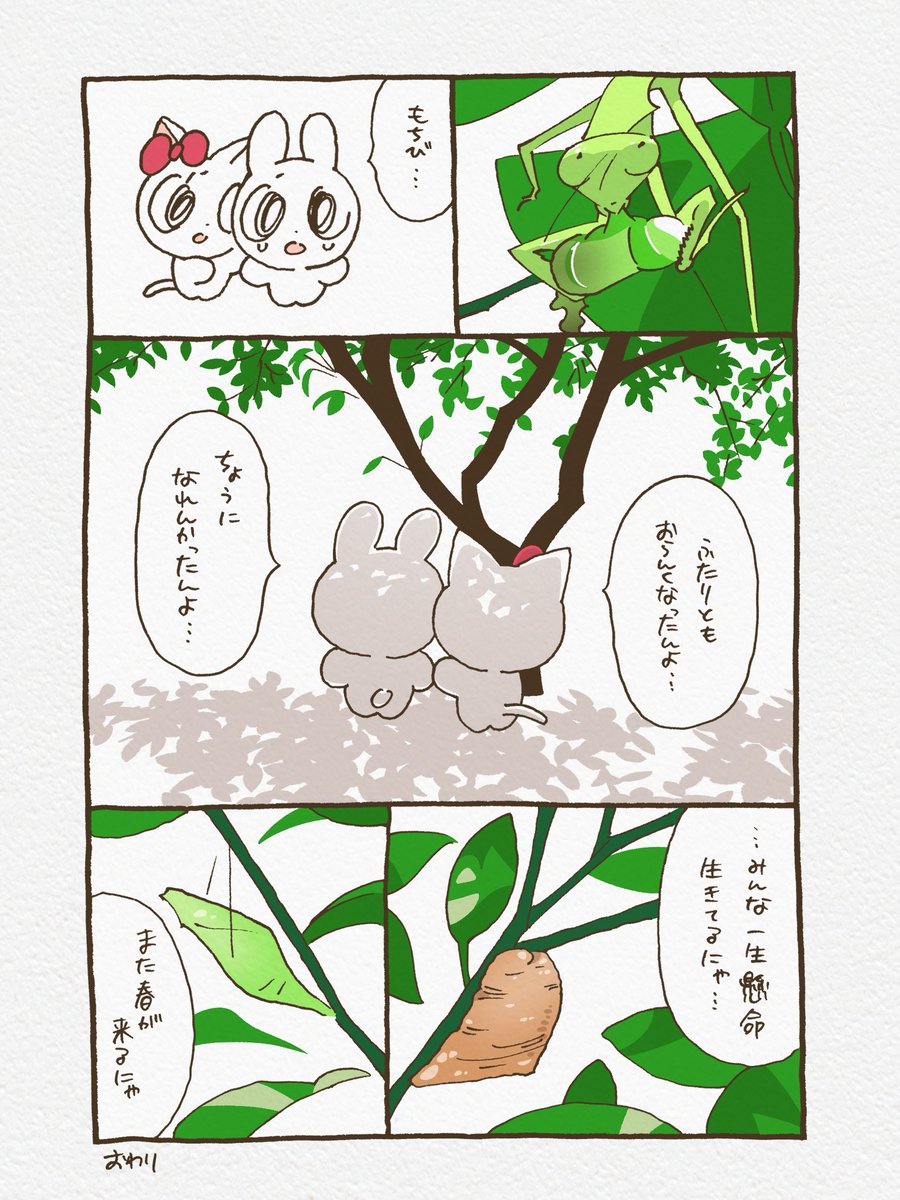 蛹になった「もっちり」が無事に冬を越せますように、にゃ🦋

#イラスト #漫画 
#絵描きさんと繫がりたい 
#ゆるいイラスト