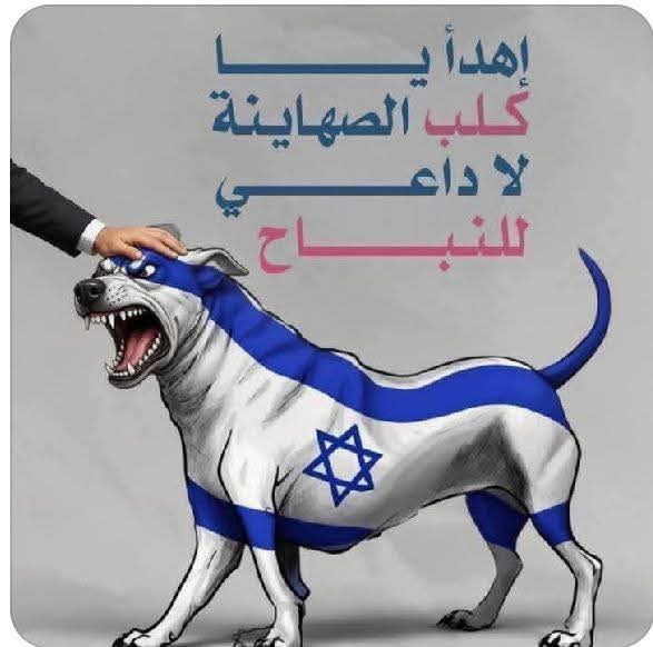 Y88ft13237's tweet photo. @Omar_Madaniah https://t.co/x7XBjqw62l