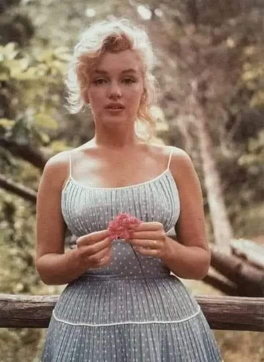 ESTRELLA tweet media