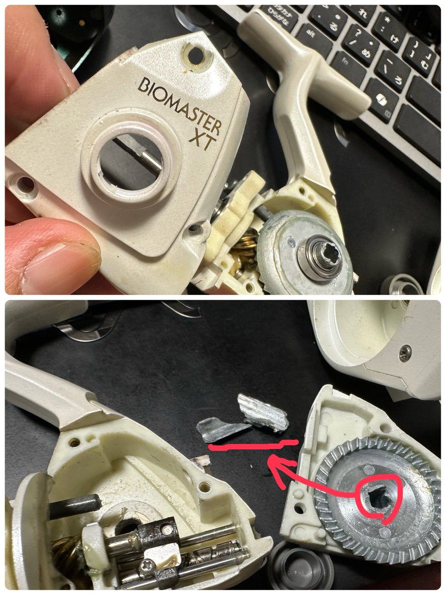 びったれアングラー tweet media