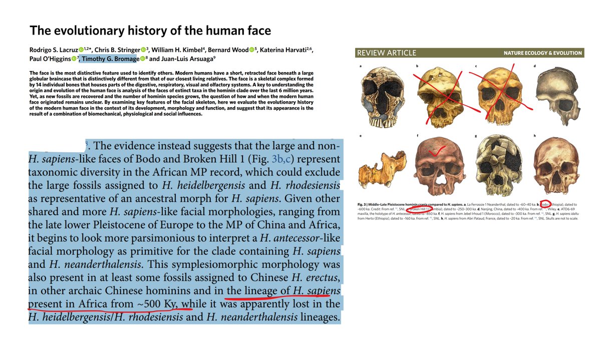 Highly Compelling tweet media