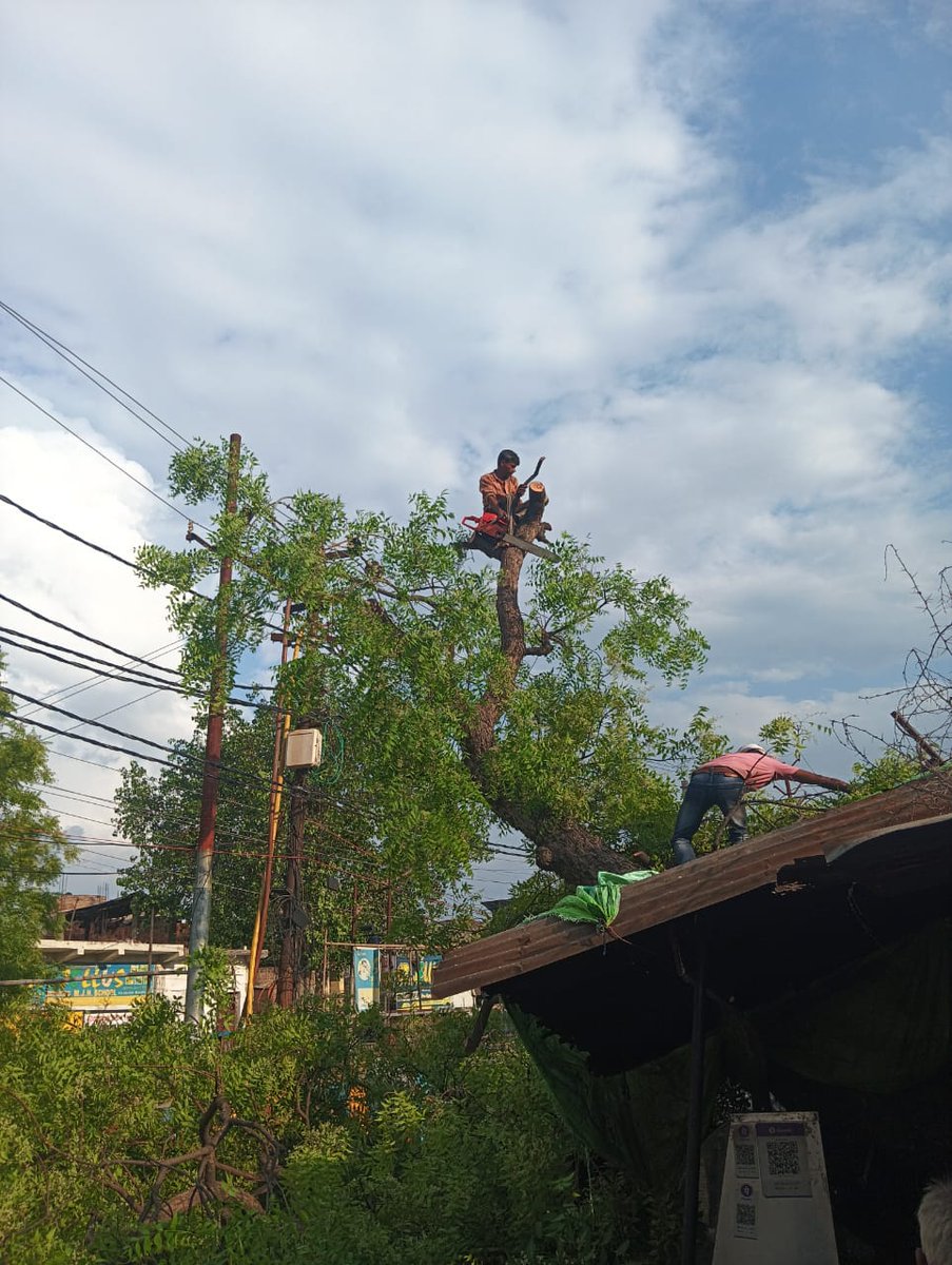 dvvnletawah01's tweet image. इटावा के शिवा कॉलोनी फाटक के अंतर्गत विद्युत लाइनों की सुरक्षा हेतु पेड़ों/टहनियों  की छंटाई/कटिंग का कार्य किया गया। इस कार्य से संभावित फॉल्ट/ब्रेकडाउन की रोकथाम कर निर्बाध विद्युत आपूर्ति सुनिश्चित की जा रही है।@dvvnlhq @UPPCLLKO @MDDVVNL #Etawah #TreeCutting #PowerSupply