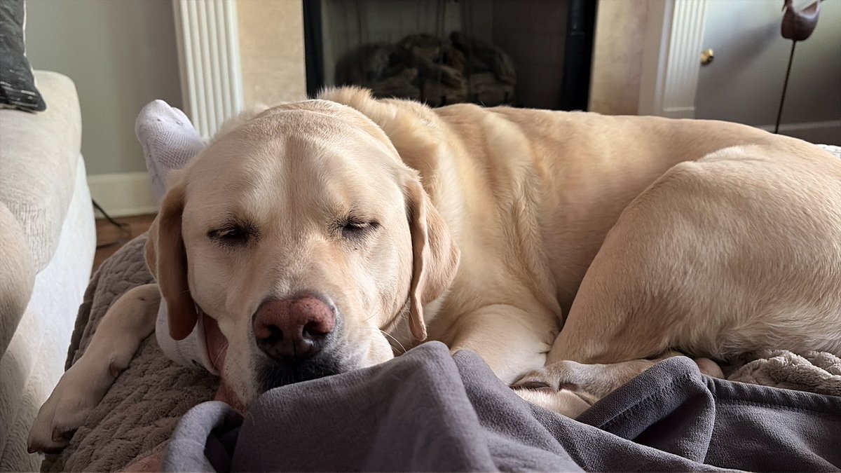 Mike Bales 🫡🇺🇸 tweet media