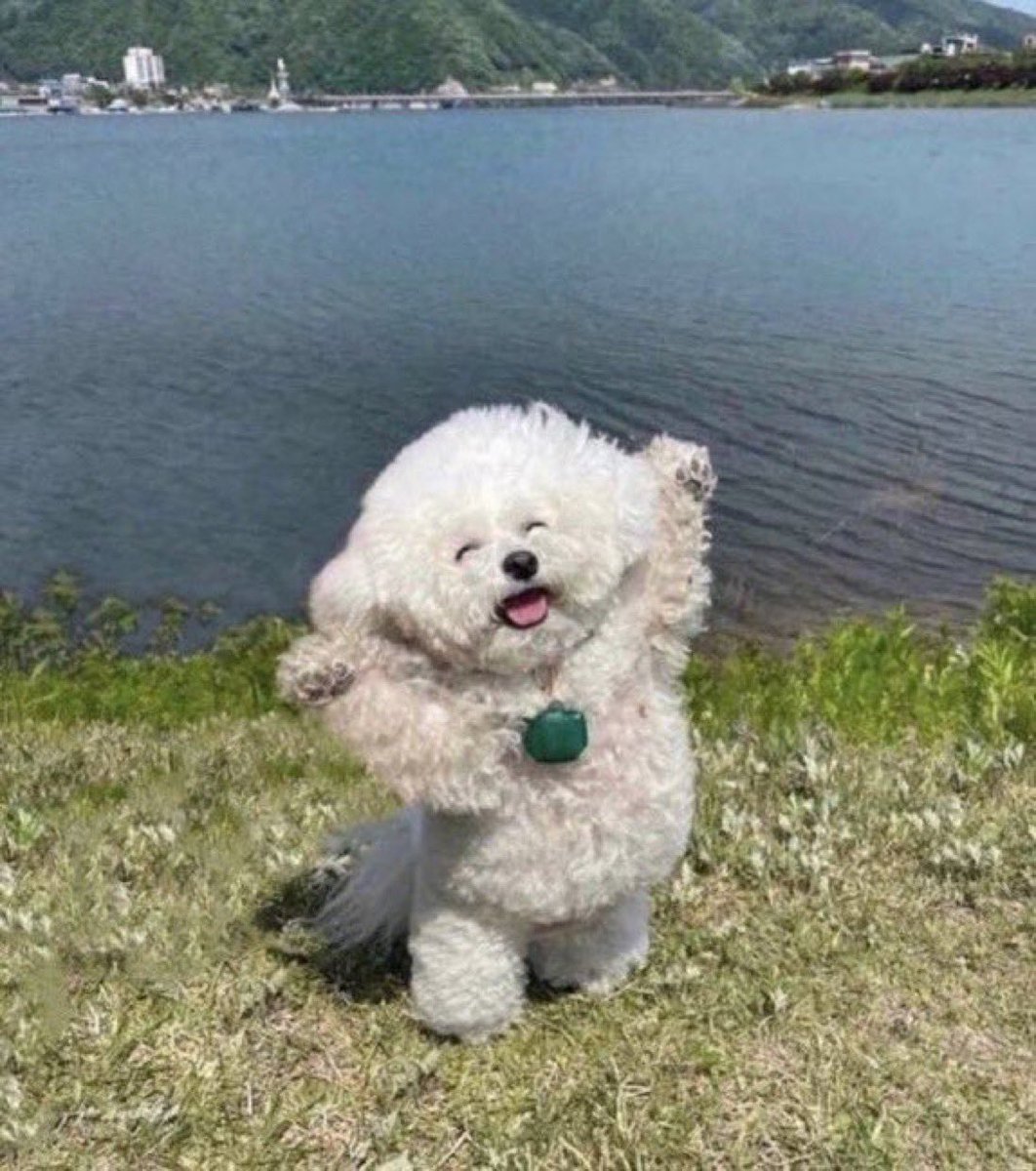 anna ☆ tweet media