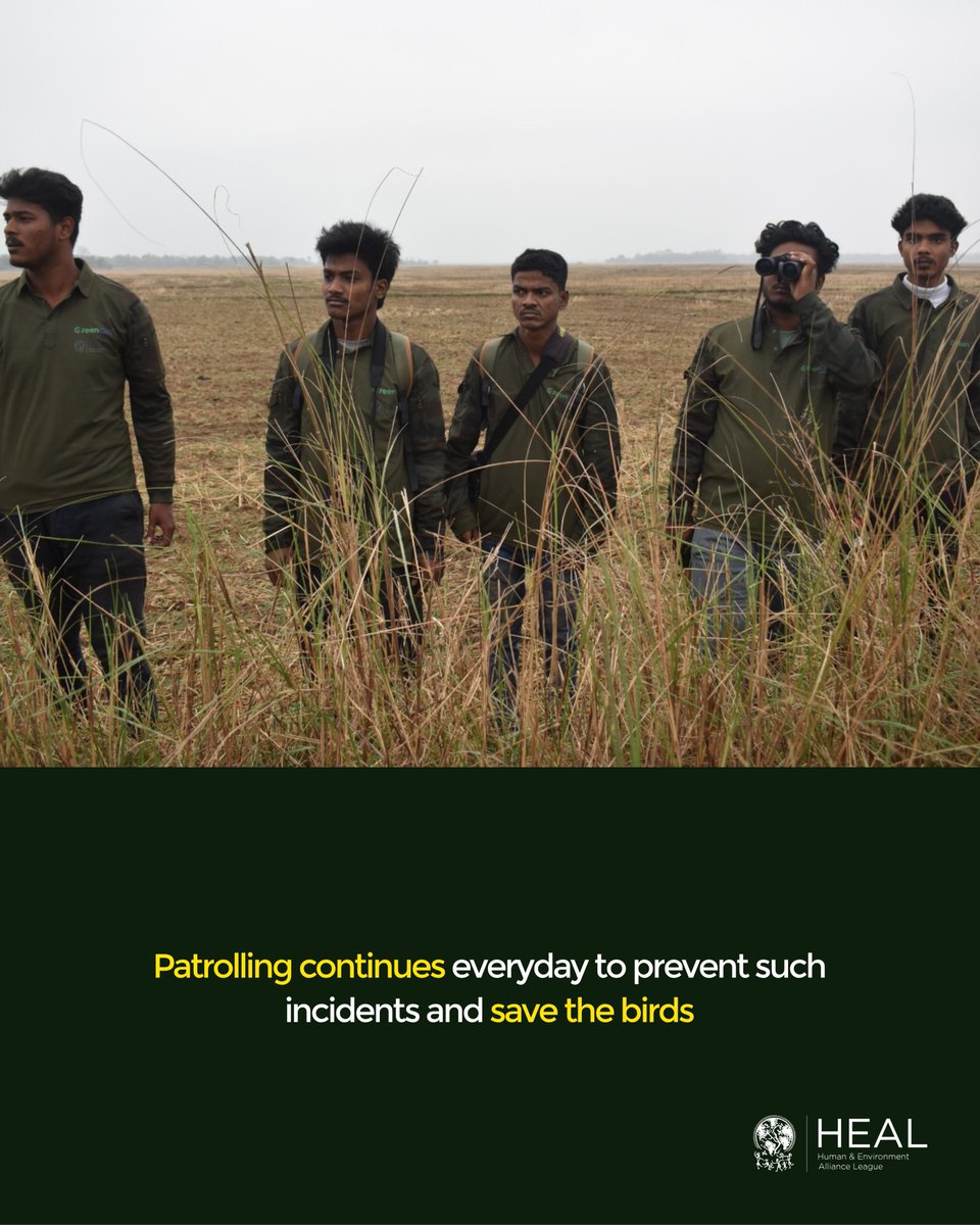 Human & Environment Alliance League tweet media