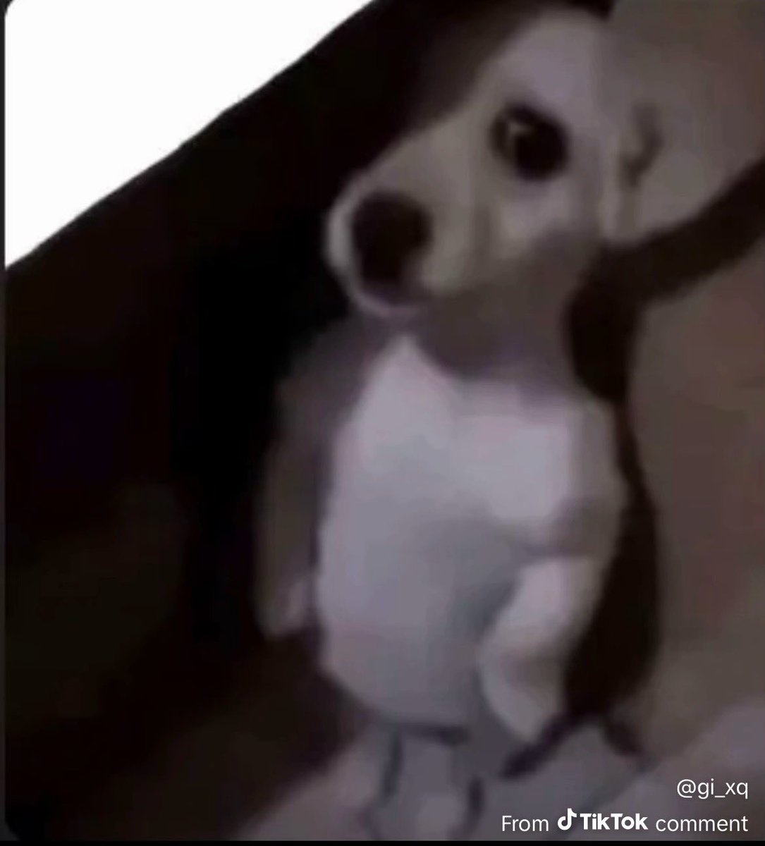 ♛♛✨🌙♛♛ tweet media