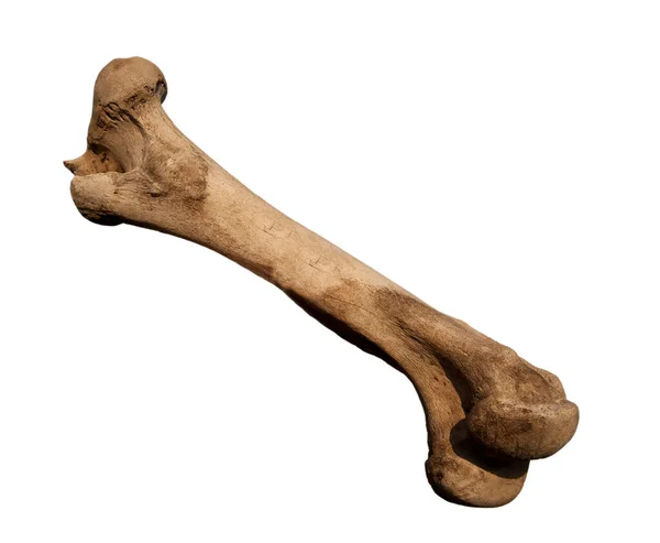 Emre Tarhan tweet media