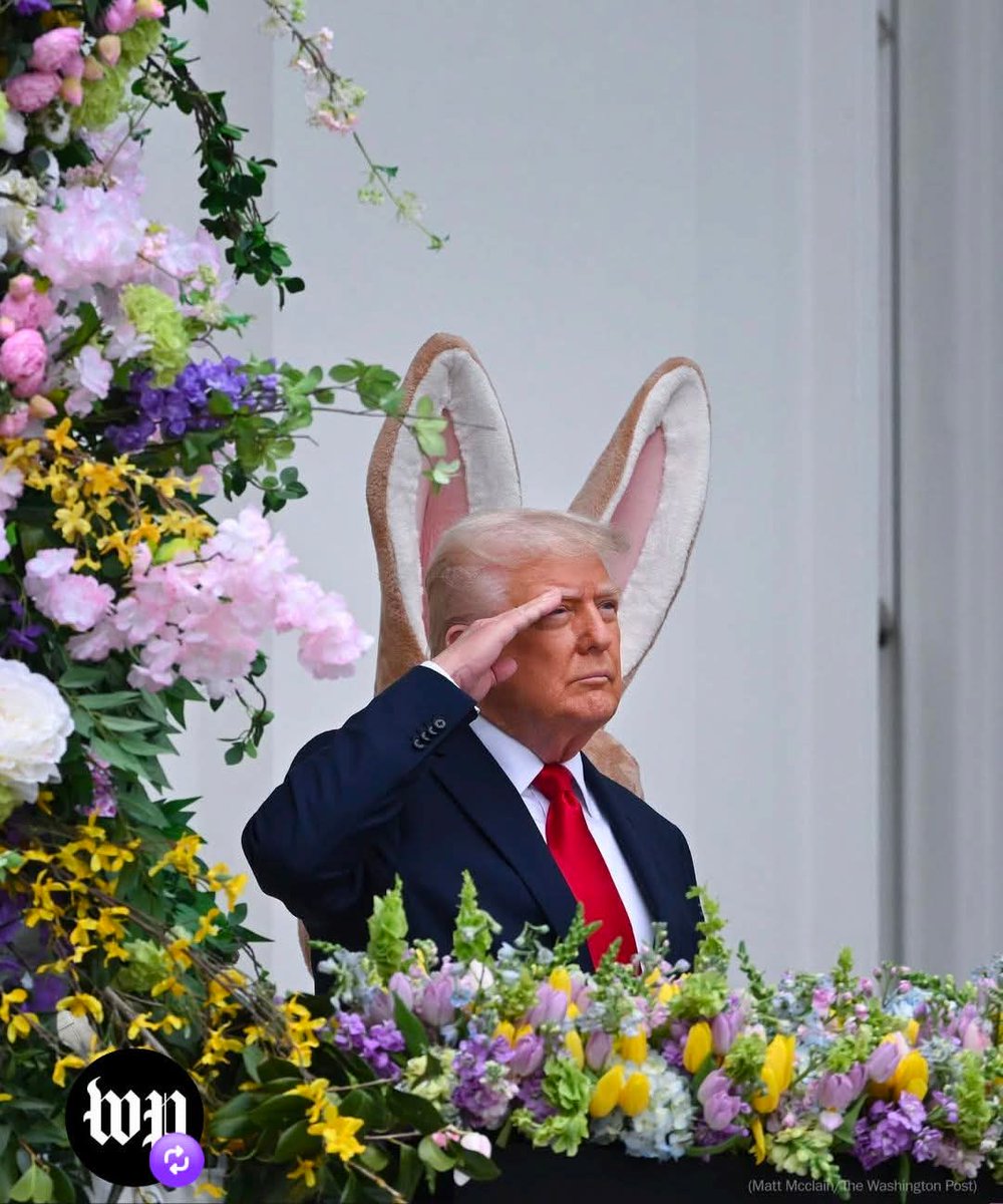 C. Brackers d'Hugo Esq. tweet media