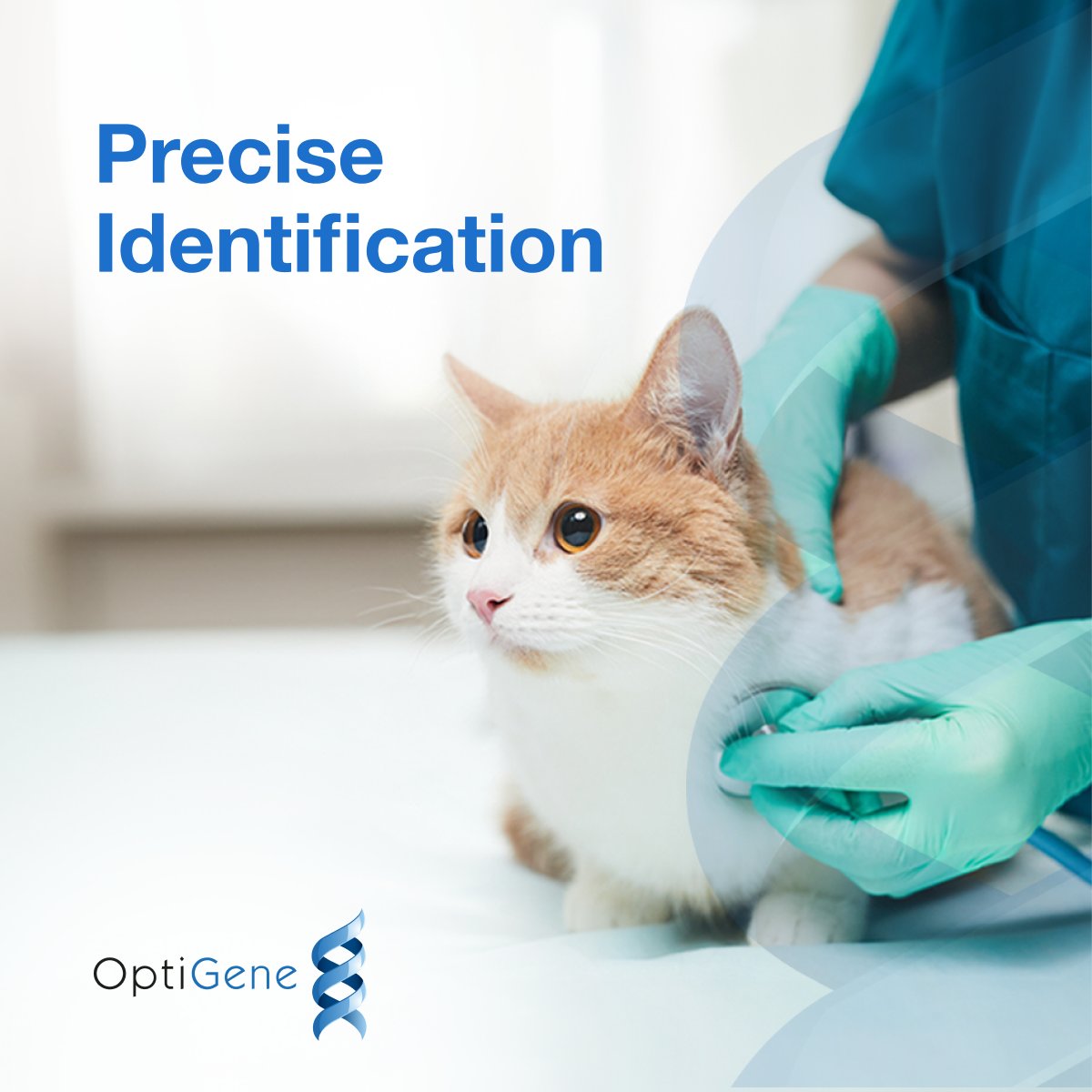 OptiGene Limited tweet media