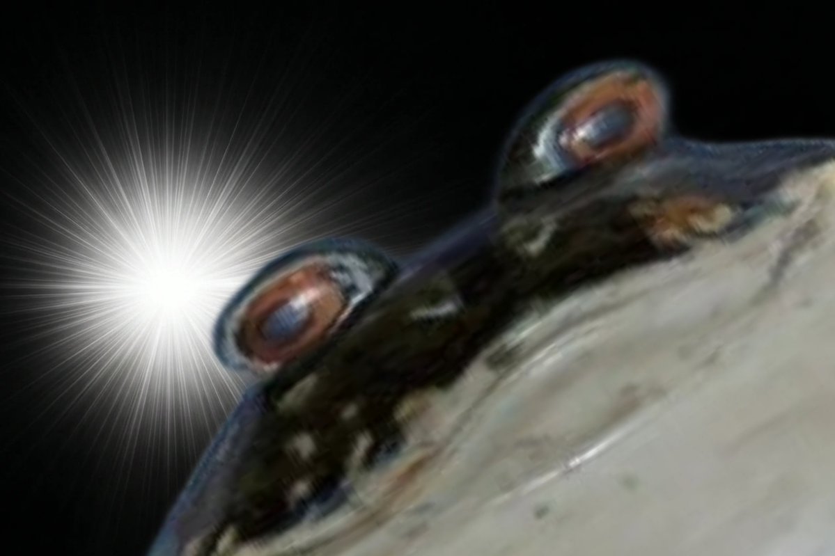 Monsieur Groin Groin tweet media