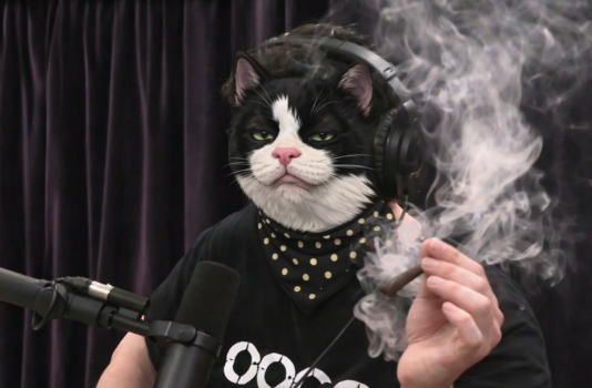 Catsby 🐱 tweet media