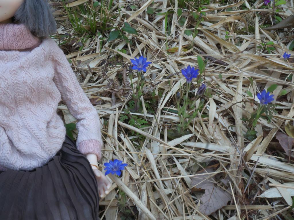 けうゐ tweet media