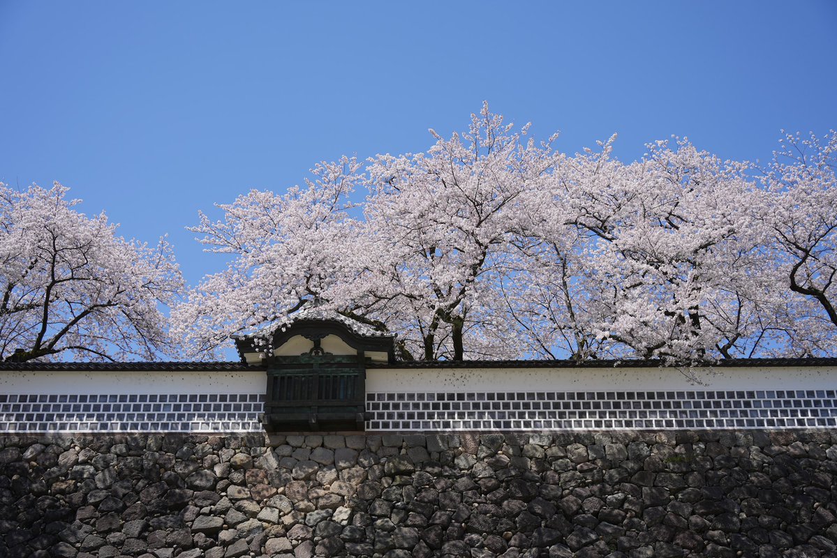 ふらっと金沢 tweet media