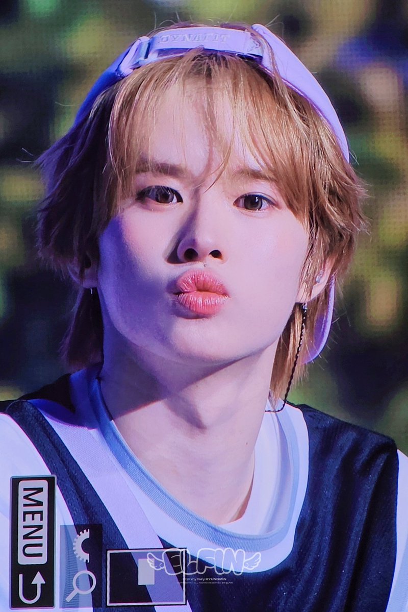 𝑬𝒍𝒇𝒊𝒏 tweet media