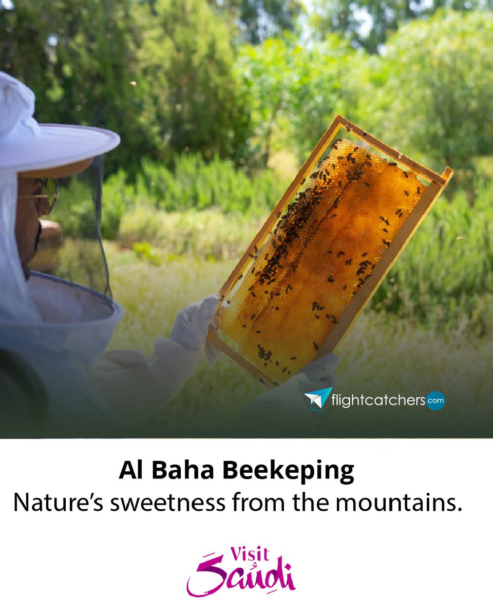 Flightcatchers.com tweet media