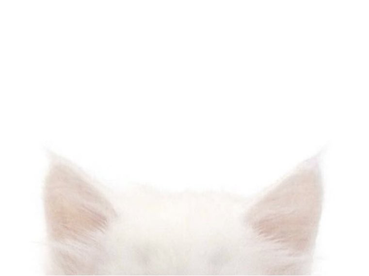 อูอู้อุ๋มอุ๋ม 🍵 tweet media