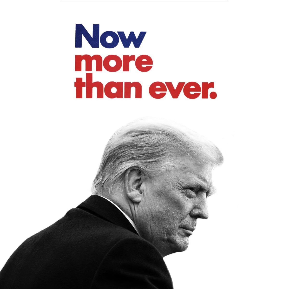 Roger Stone tweet media