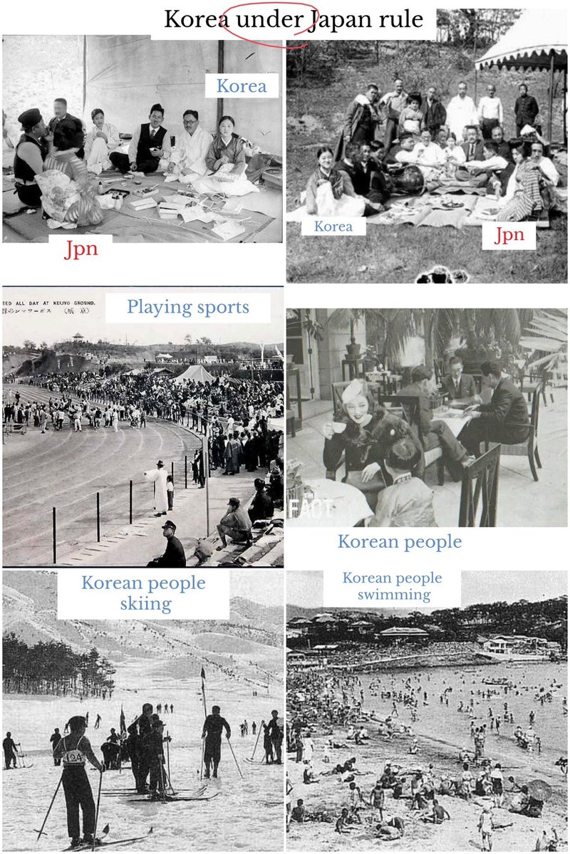 ショーン🌸不退転 tweet media